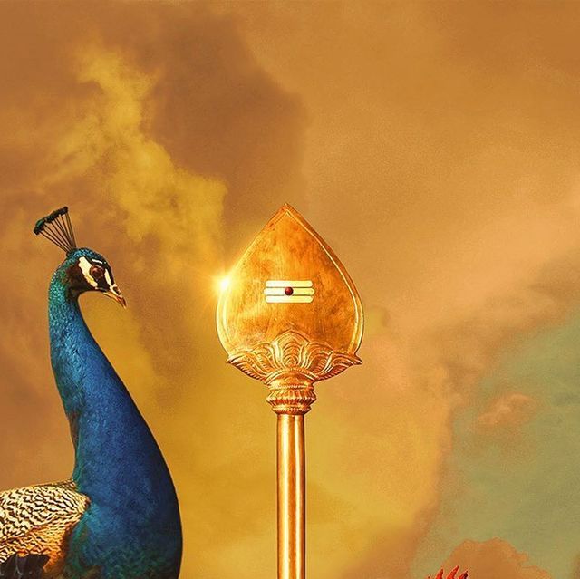 5f658b72e6fc2427a6c3e91c70112a85