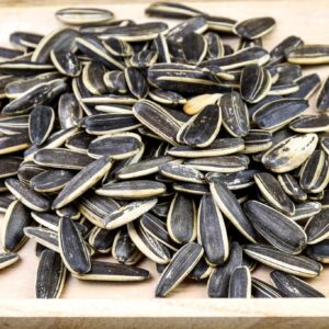 sunflower seeds square crop